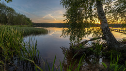 Майский вечер / Природа РБ