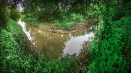 река Артисловка в джунглях / июнь 2017
