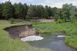 В сосновом бору / Республика Хакасия. Бор,речка.