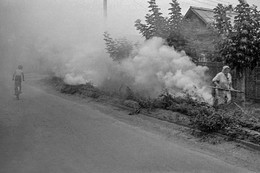 Баба Шура зажигает / Тольятти. Август 1982 года. Смена-8М