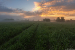 А мы пойдем с тобой туда... / Река Дубна.
