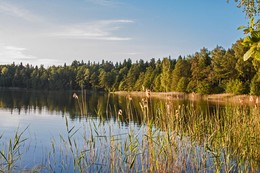 Пейзаж. / Перед заходом солнца.