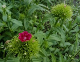 Начало... / &quot; &quot; &quot;