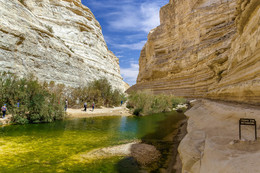 В ущелье Авадат / Снято в ущелье Авадат,в районе пустыни Негев,в Израиле.