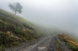 Туманной тропой Приэльбрусья / Возвращаясь с водопада &quot;Девичьи косы&quot; в Терскол после заката.
Кабардино-Балкария.