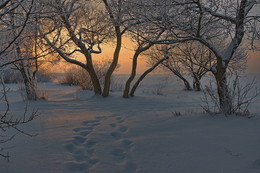 ... звуки тишины ... (репост 2011) / .....