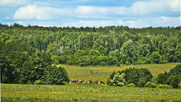 Дальняя даль / Российские пейзажи