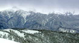 Высоко в горах Кавказа / Высоко в горах Кавказа