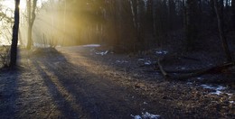 Холодным утром... / Осиновая Роща. Апрель