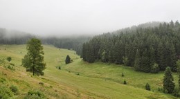 А выше - сплошной туман / В ясную погоду это выглядит так: https://photocentra.ru/work.php?id_photo=671511&amp;id_auth_photo=26739