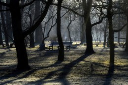 Свет и тени.... / Петербург. Парк Екатерингоф. Апрель