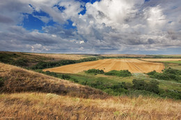 В разгаре лета / ***