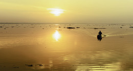 Рассветное / Рассвет на озере Вембанад, Керала, Индия