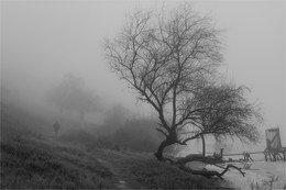 Попутчики / Человек и собака ранневесенним утром на берегу уснувшей реки