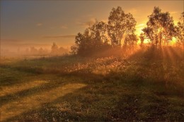 Полосатая пятница / Полосатаяпятница