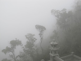 Облако на вершине Ба На / Ба На - гора высотой 1500 метров над уровнем моря в Центральном Вьетнаме. Облака, задевающие вершину, за секунды погружают её в густой туман и так же быстро исчезают.