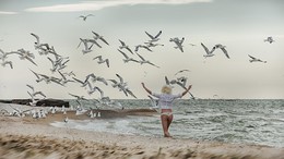 Азовские чайки / Одно из утренних развлечений, погонять чаек ждущих рыбаков на берегу моря! )))