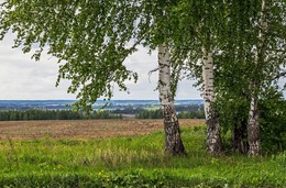 &nbsp; / татарстан,лаишевский район