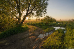 Утро в поле. / Деревня Козлаки, город Дубна.