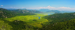 Crna Gora (Montenegro) #5 / Скадарское озеро.