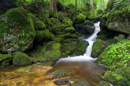 &nbsp; / in der Ysperklamm