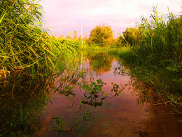 Узкая речка / Затопленный берег Волги за Коттеджным посёлком на Золотом затоне.