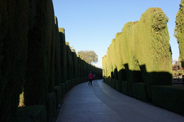 В лабиринтах Альгамбры / Утро в Альгамбре