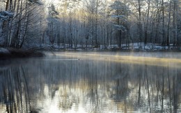 Утреннее / Осиновая Роща. Май