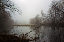 Туман / река Усмань