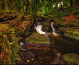 ...Cloghleagh Creeks... / ***