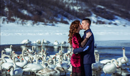 &nbsp; / beautiful winter wedding