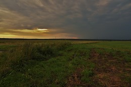 Преддождливый пейзаж ... / В поле перед дождем ...