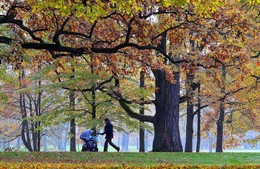 Осенний этюд / Осень в парке
