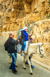 Вышел погулять / Фото с недавней прогулки к монастырю в ущелье Вади Кельт,недалеко от Иерусалима.