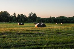 Готовы к зиме. / Все просто : скосили высушили, закатали, все готово ! До чего техника дошла. Шик, блеск , красота!!!