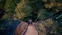 шаткий мостик / мосток через Вашану (Тульская область)