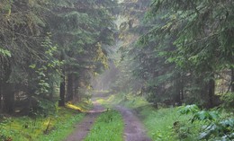 Туман сдается / Еще висят капли утреннего дождя