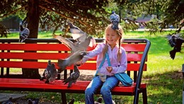 Встреча с голубями / В воскресенье в городском парке