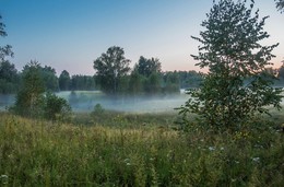 Вечерний туман / Вечерний туман