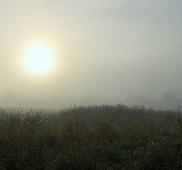 Рассвет пришел в обнимку с туманом ... / Утренний этюд ...