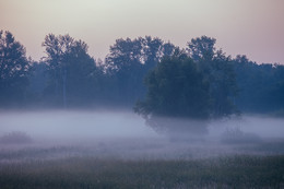 Туманным утром / утро,туман,лето,август