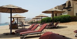 Одиночество не в сети / Прекрасен мир! Но восхищенью
В иссохшем сердце места нет!..
По чуждой мне земле скитаюсь сирой тенью,
И мертвого согреть бессилен солнца свет...
/Фёдор Тютчев/