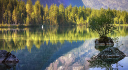 Отражаясь в тишине... / Альпы, озеро Хинтерзее, не далеко от городка Рамзау.
http://www.youtube.com/watch?v=pbZ4t45SWLI