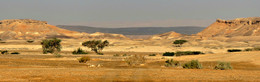 Пустыня Арава / пустыня