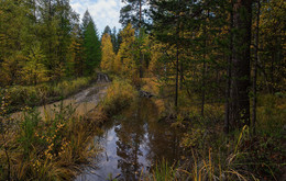 Осенняя дорога / Уральская осень