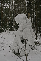 Снежные человеческие скульптуры в лесу / ИЩУ В ЛЕСУ КУЧКИ СНЕГА, НАМЕТЕННЫЕ НА ЕЛИ. ЧТОБЫ ОНИ БЫЛИ ПОХОЖИЕ НА ЧЕЛОВЕЧЕСКИЕ СКУЛЬПТУРЫ , НА ЗВЕРЮШЕК, ИЛИ СКАЗОЧНЫХ ГЕРОЕВ