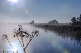 Утро на озере. / Подмосковье.