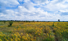 заказник / заказник