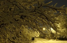 Да будет свет / Скоро выпадет снег… По известным законам природы Осень в прошлое канет шуршащею желтой страницей, На прощанье ноябрь заведёт из дождей хороводы… Скоро выпадет снег… Но пока этот снег только снится.
/ Любовь Козырь/