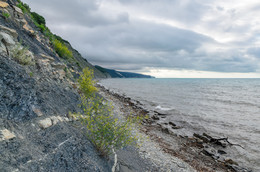 Утро на берегу моря / Краснодарский край.